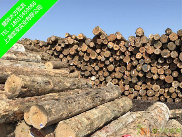 辐射松木方建筑木方精品木方木方价格木方规格