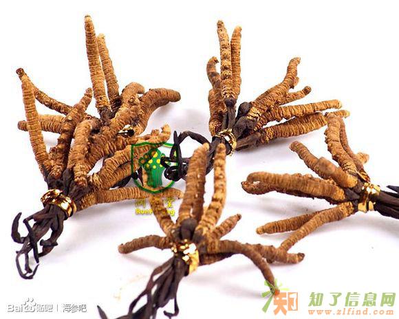 高价回收冬虫夏草闲置礼品