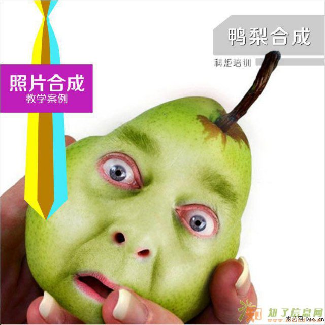 扬州平面广告策划、ps企业vi设计培训高薪就业培训