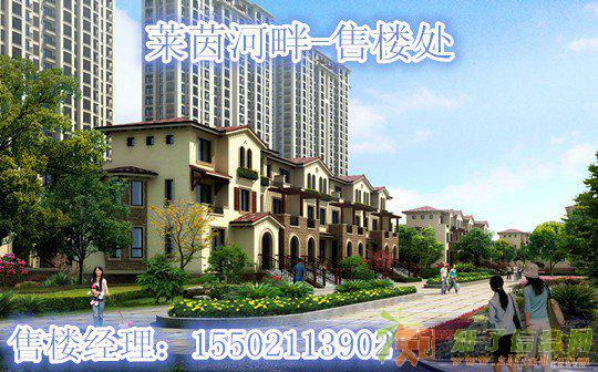 湖州长兴莱茵河畔售楼处惊现神龙是真的吗？