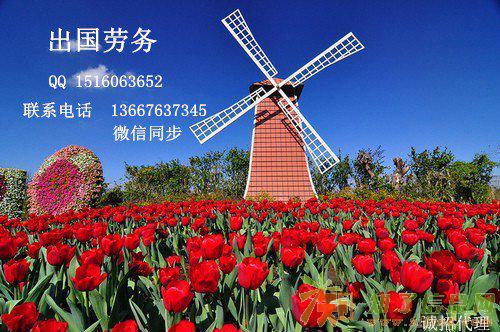 出国劳务，职业制衣