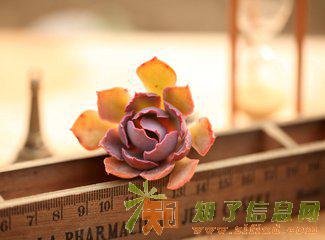 专项资质审批、办理北京建筑装修装饰二级资质