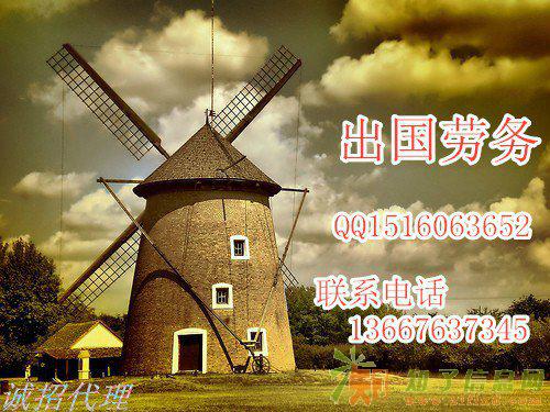 出国 效率第一 一个团队为您服务