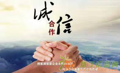 出国劳务 小货司机 渠道成熟 专业办理 诚信直招