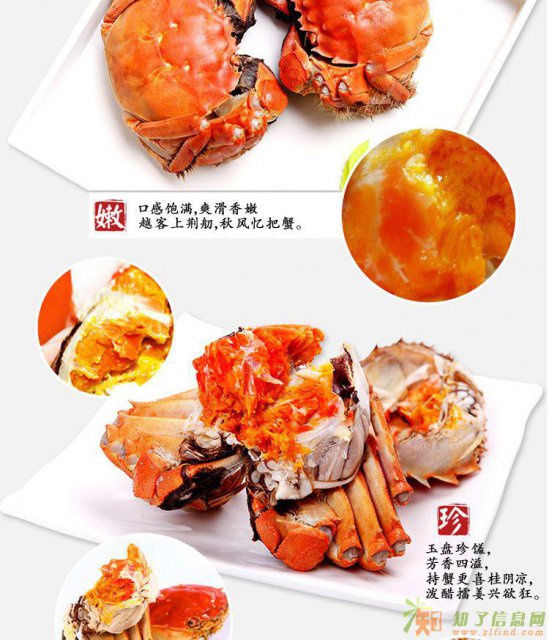 一品好蟹的时光