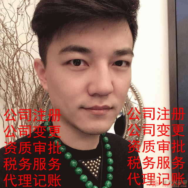公司注册 公司变更 资质审批 税务服务 代理记帐