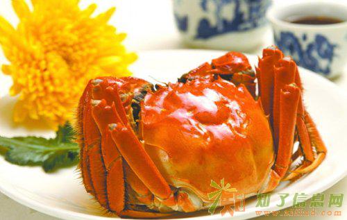 正宗阳澄湖大闸蟹好蟹汇礼卡预售中