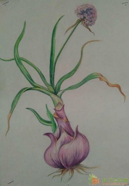 刘海粟美术学美术的好处