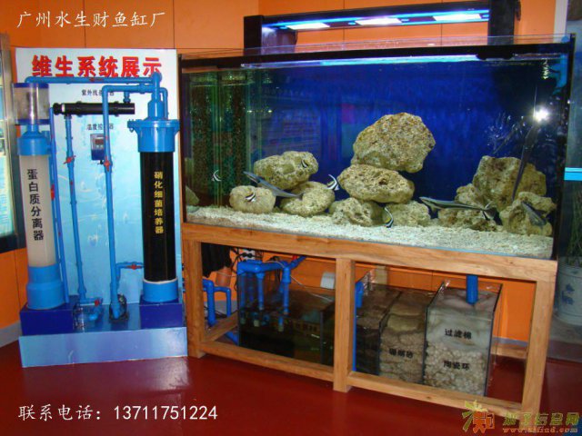 广州哪里有鱼缸定做，广州西关亚克力鱼缸设计