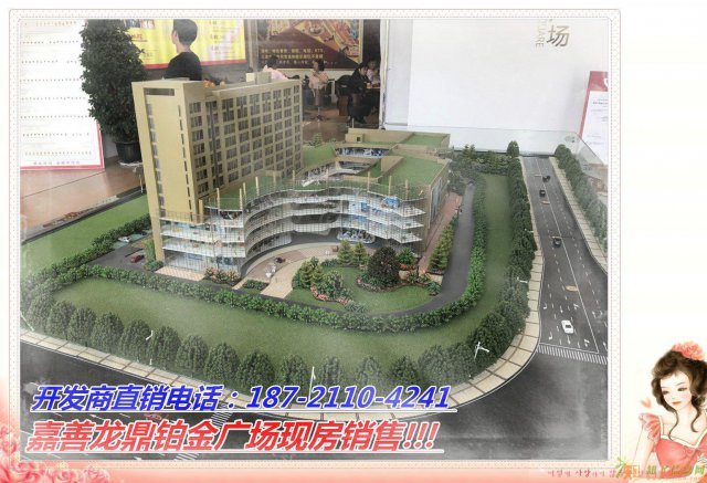 嘉善龙鼎铂金广场