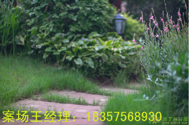 启东住宅绿地长岛售楼处-可参考下