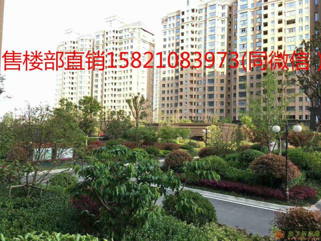 6年前给我推销房子的那个人我还能跟你谈谈吗如意佳园