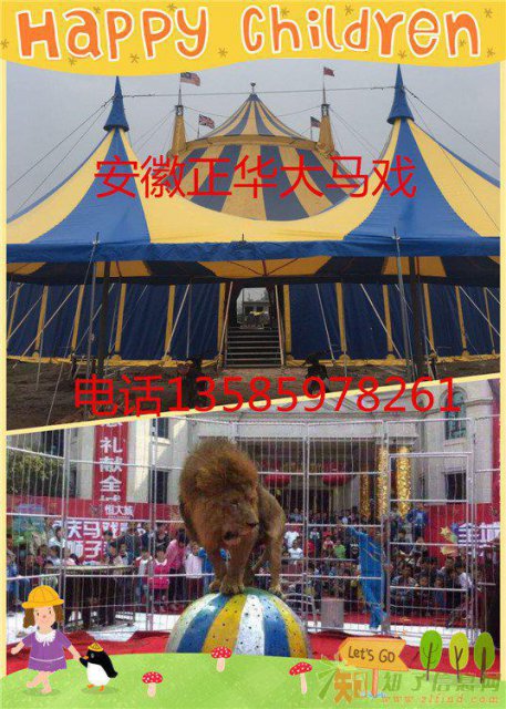 马戏团表演马戏团怎么邀请哪里有马戏团怎么联系