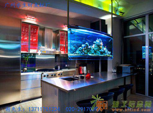 广州宝华路风水鱼缸设计，广州陈家祠办公室鱼缸定做