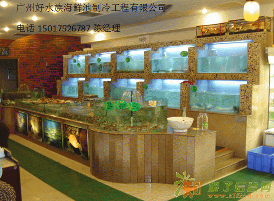 广州越秀淘金定做玻璃海鲜池，环市东制作海鲜鱼池