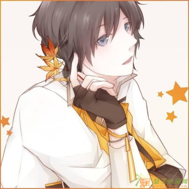 长春网店代运营网店装修电商培训网站建设视频制作