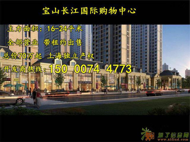 宝山长江国际购物中心核心地段无可比拟即买即收益！