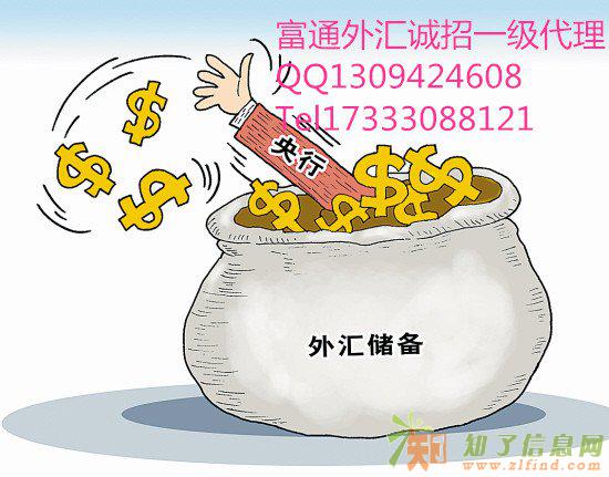 富通外汇面向全国招代理