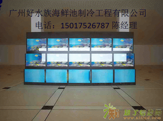 宝华路定制海鲜池哪里有，荔湾蓬莱路设计海鲜鱼池公司