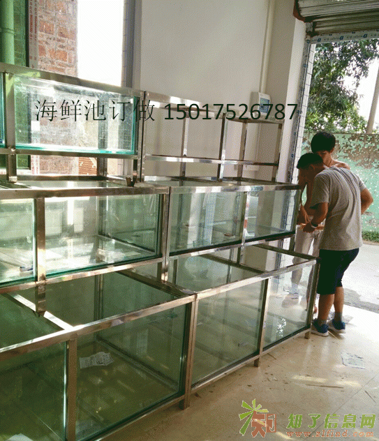 专业海鲜池定做 海鲜池定做海鲜池制作专业设计