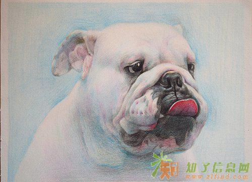 北京零基础成人美术【北京红树林艺术】最好靠谱的画室