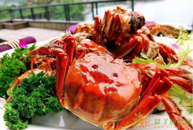 星座大闸蟹，送给幸运的你