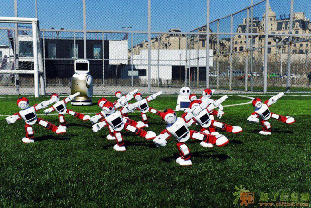 机器人租赁承接各类商业暖场