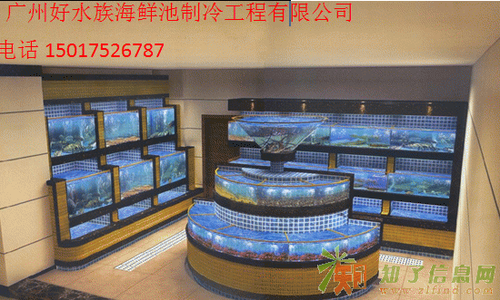广州好水族定制海鲜鱼池，广州定做海鲜鱼池公司