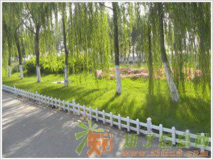 天津铁艺门楼园艺凉亭帽铁艺大门围栏护窗一条龙服务