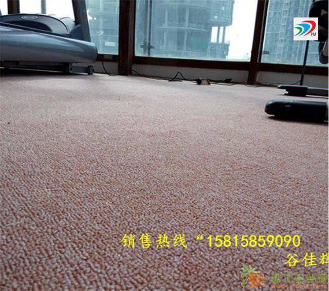 定制办公地毯家居满铺地毯写字楼地毯