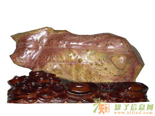 你知道猪石的价值吗