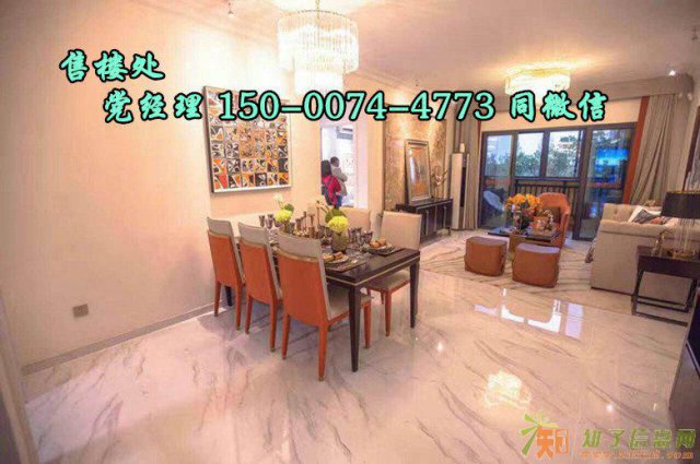 吴江盛泽碧桂园天誉什么价位，投资多少年可以回本！