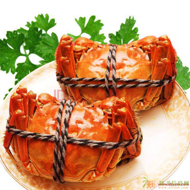 阳澄湖律动的生命阳澄湖大闸蟹蟹季未到礼卡先行