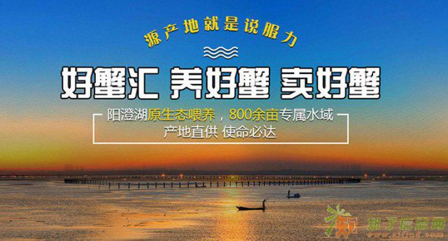 中秋在即，送蟹礼谢谢你！