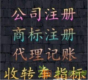车指标收转！什么是车指标公司