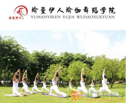 瑜曼伊人瑜伽，力量与柔韧的碰撞