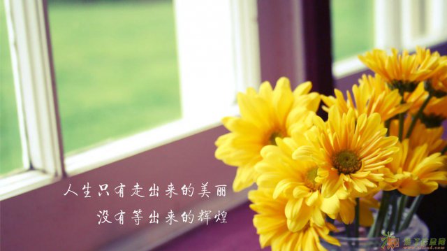 本人有一家经营范围广泛的商贸公司啥都有