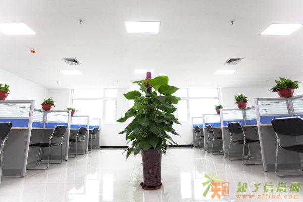 创业办公室合租工位