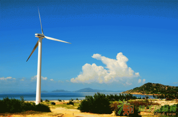 南海观世音红海 遮浪观景台灯光晚会海边烧烤二日游