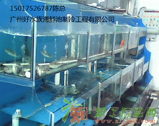 越秀定做海鲜鱼池 海鲜池定制厂家 设计酒店海鲜鱼池