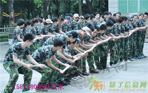 深圳南澳西冲专业为公司 企业定制各种拓展活动