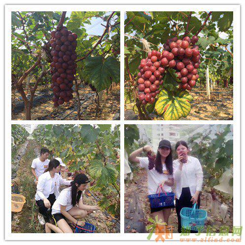 惠州大亚湾户外休闲，没有我们做不到的户外旅游！