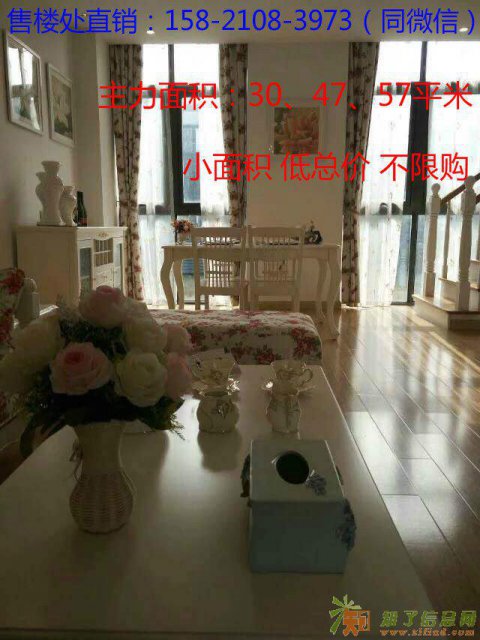 苏州市吴江区盛泽东茂国际公寓 通天然气现房在售