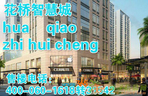 自住投资两不误，真正一举两得，花桥智慧城公寓