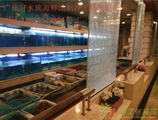 上门订做各种酒店,酒楼,餐厅的定做海鲜池设计