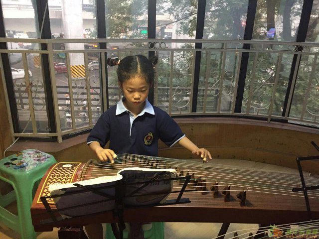 零基础学古筝哪里好
