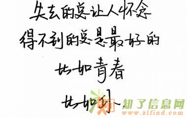 转让带网文、ICP科技公司