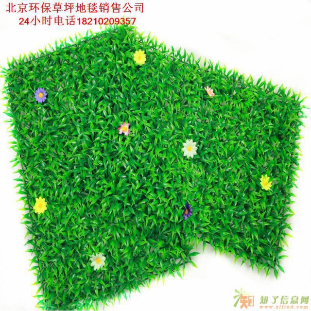 北京环保地毯公司销售 定做各种门垫输水地毯草坪地毯