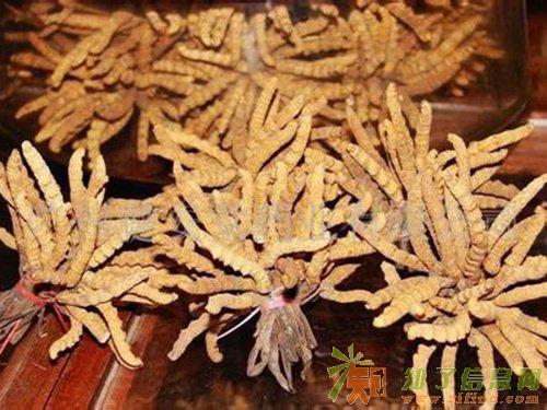 高价回收冬虫夏草同仁堂高档礼盒燕窝鱼翅