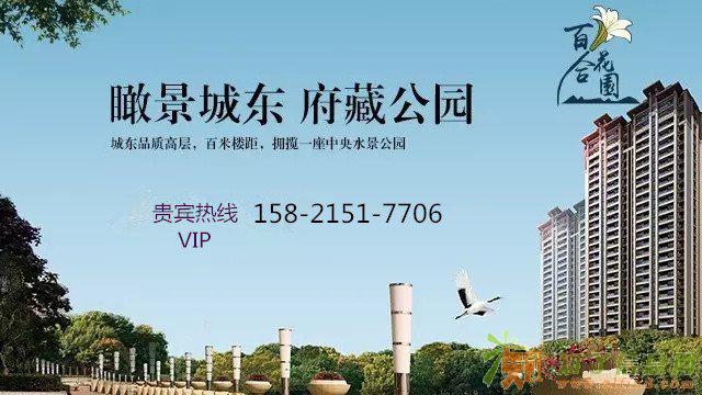 嘉兴荣盛百合花园新闻报道专业 人士全方位解析